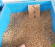 详细介绍烟台糊料的组成部分